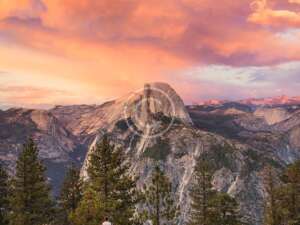 The History of Iconic Photo and Video